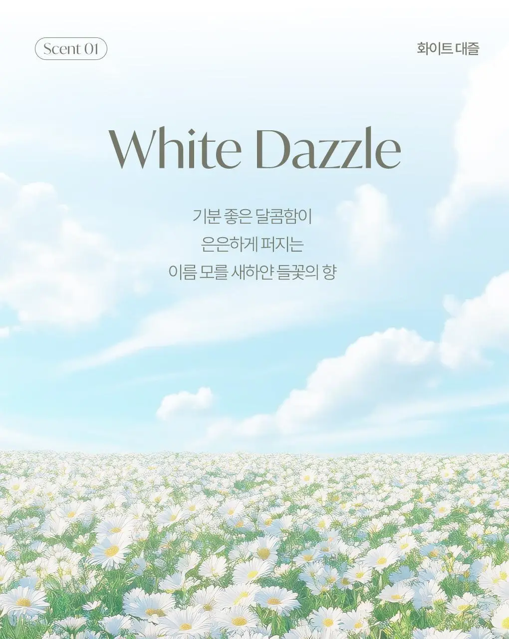 [온라인단독] 라운드어라운드 센티드 차량용 방향제 4g 2종 상세페이지 7